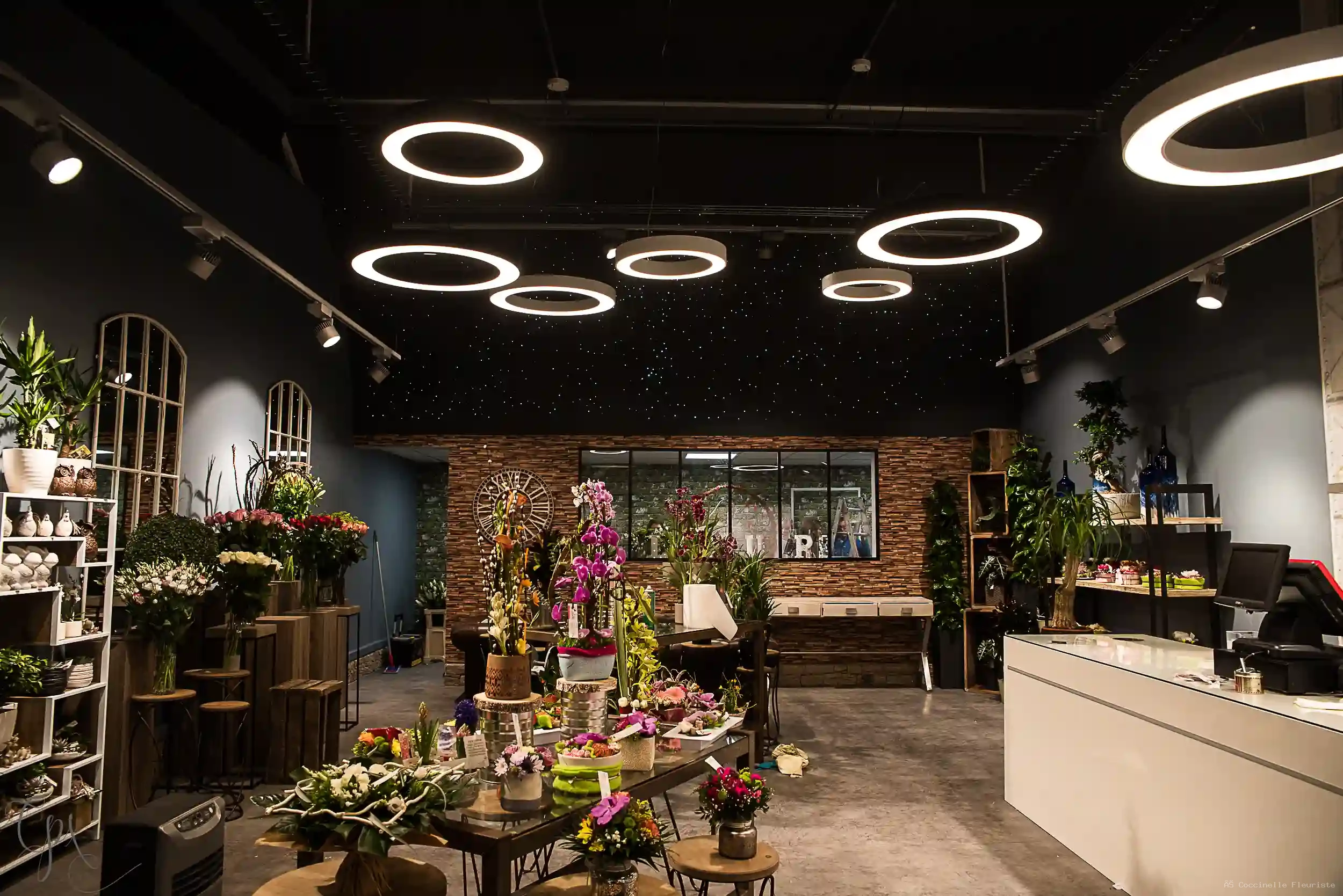 Boutique Coccinelle Fleuriste à Lézardrieux / Pleudaniel