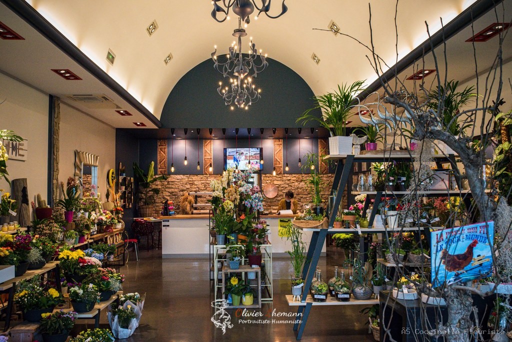 Boutique Coccinelle Fleuriste à Minihy-Tréguier