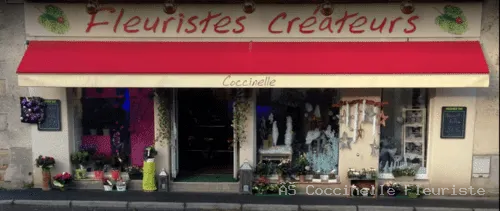 Boutique Coccinelle — Penvenan 2008